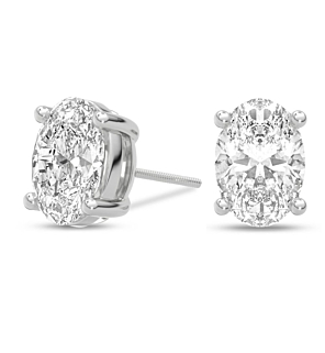 Premium Certified Oval Studs